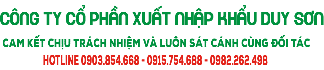 Thiết bị Duy Sơn