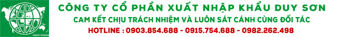 Thiết bị Duy Sơn
