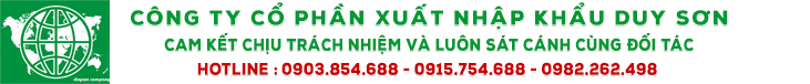 Thiết bị Duy Sơn